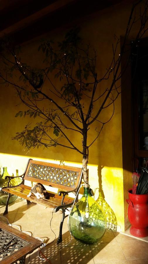 La Cascina Di Alice Bed and Breakfast Castiglione Delle Stiviere Eksteriør billede