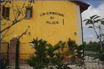 La Cascina Di Alice Bed and Breakfast Castiglione Delle Stiviere Eksteriør billede