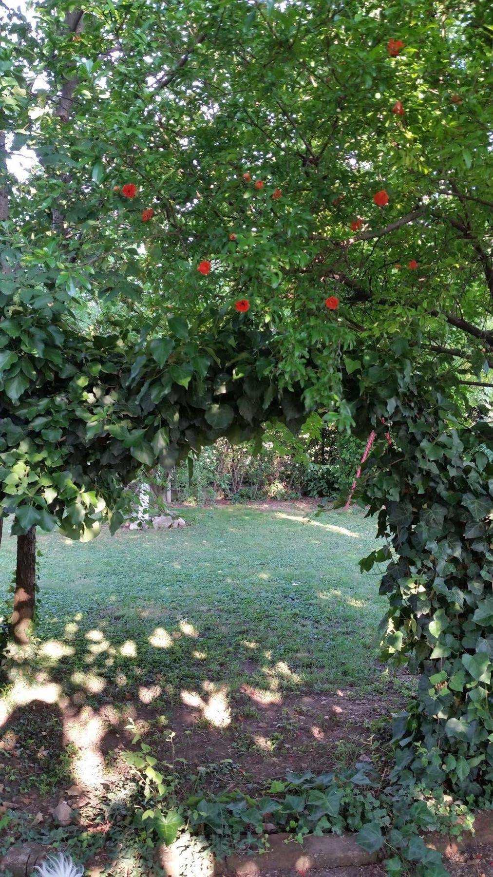 La Cascina Di Alice Bed and Breakfast Castiglione Delle Stiviere Eksteriør billede